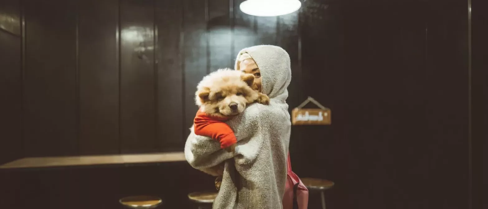 Person in grey hooded towel holding a fluffy chow chow dog in red shirt.