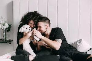 Best CBD for Pets Guide: Everything You Should Know in 2025