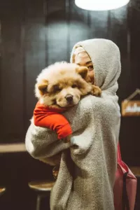 CBD Pain Management Solutions for Dogs Explained 2025: Best Practices