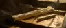 rolled joint crutch tip on cannabis background