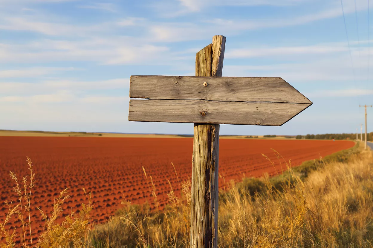 A wooden signpost with an arrow pointing left, overlooking a vast red field.