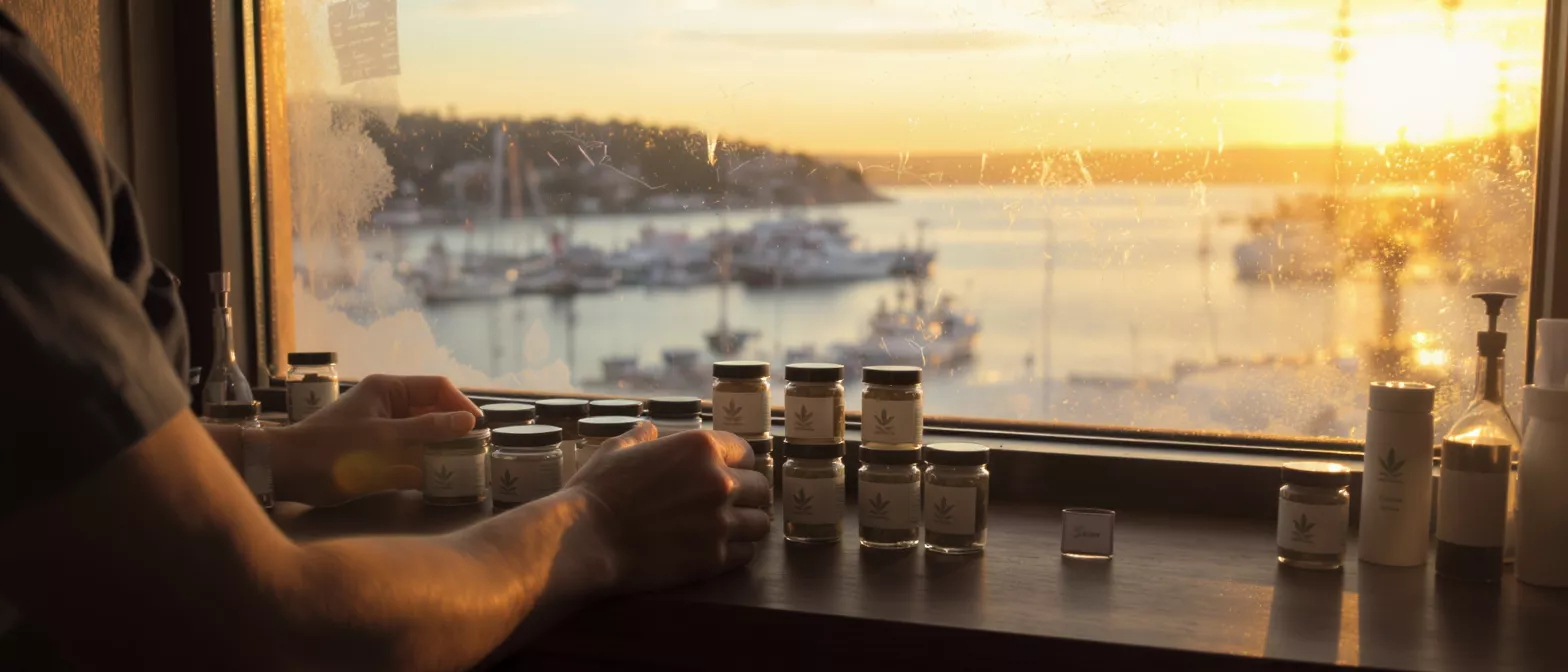 Hands arranging cannabis product jars on a windowsill overlooking a sunset harbor.