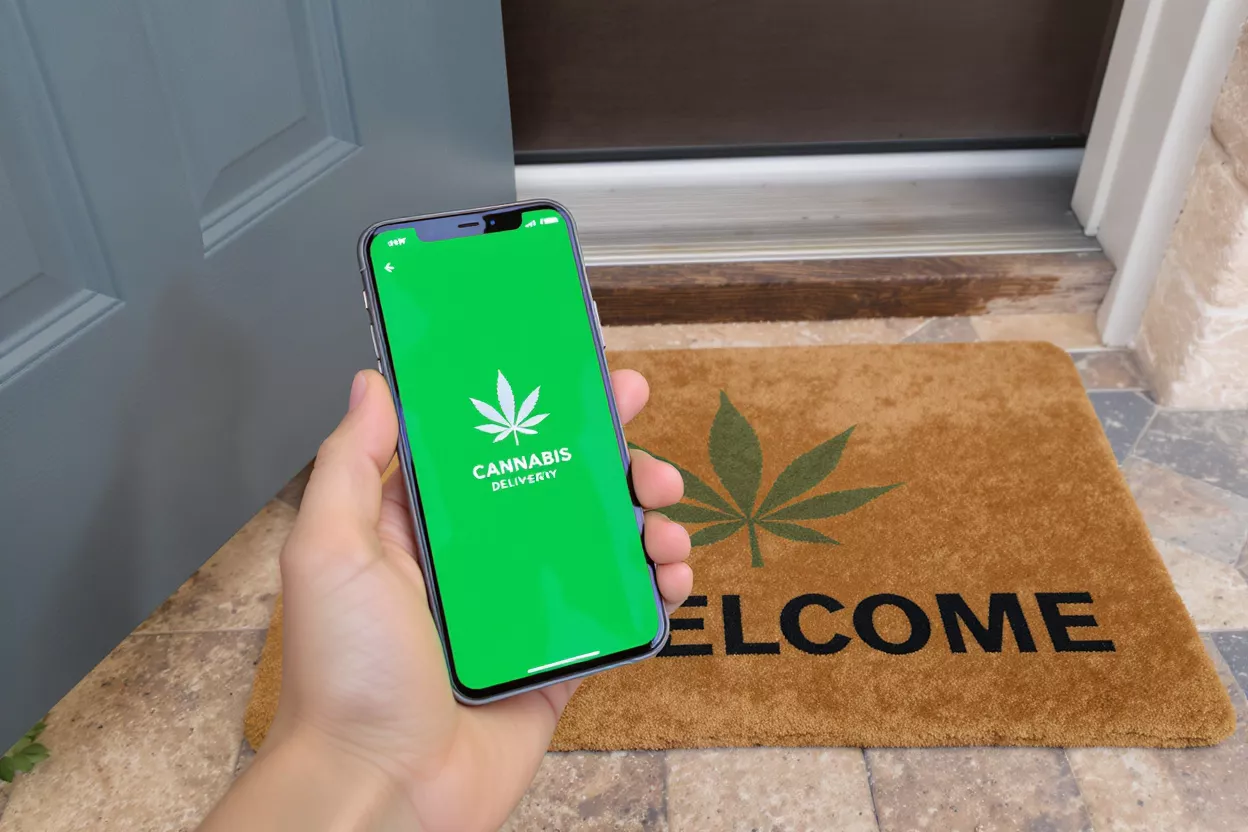 Cannabis Delivery App Hand holding smartphone displaying cannabis delivery app near a welcome mat.
