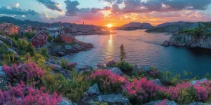 Cannabis Paradise