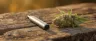 disposable vape pen for cannabis oil
