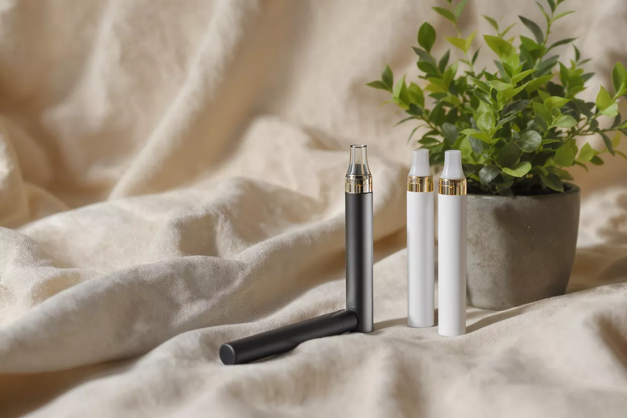 Two vape pens beside a small green plant