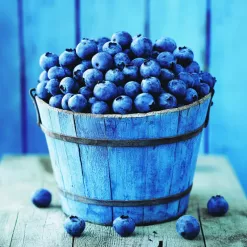 Rustic blue bucket brimming with fresh blueberries on wooden table, cozy rustic setting.