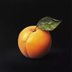 Hyper-realistic painting of a ripe peach with leaf on a black background.