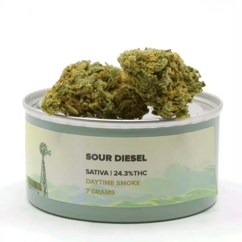 Sativa Sour Diesel 24.3% THC - 7g Daytime Cannabis Buds