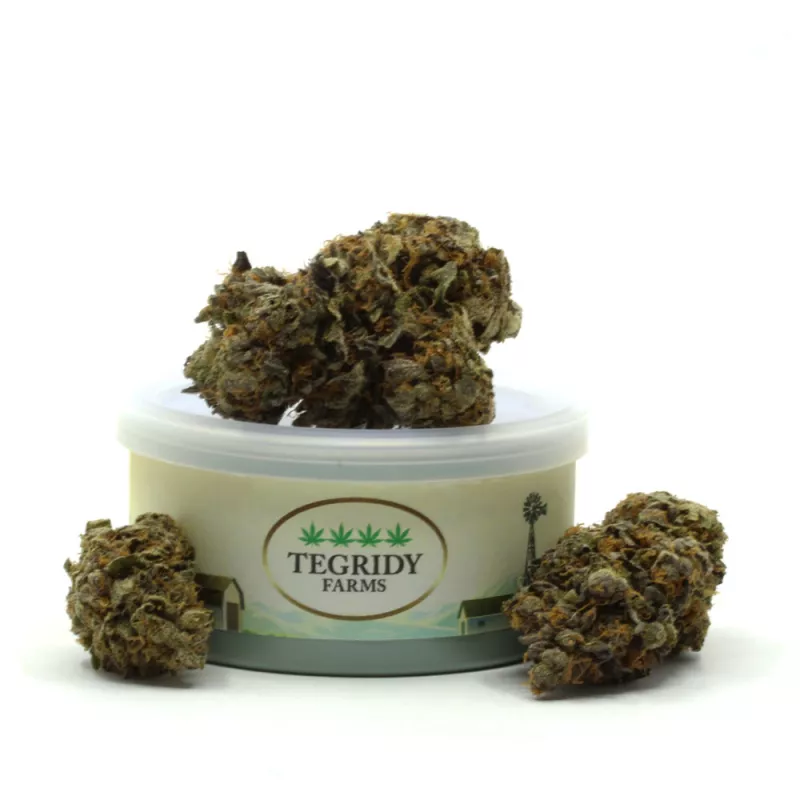 Tegridy Farms premium cannabis, trichome-rich French Macaroon buds in labeled container.