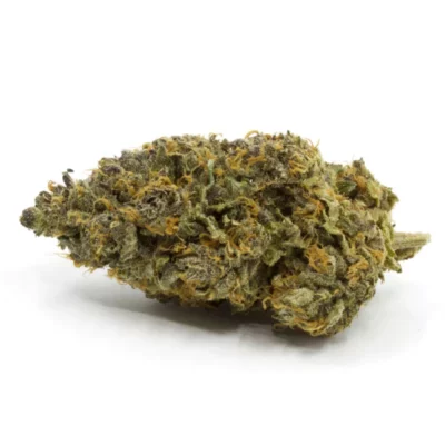Tegridy Farms Premium French Macaroon Cannabis with lush green color and rich trichomes.