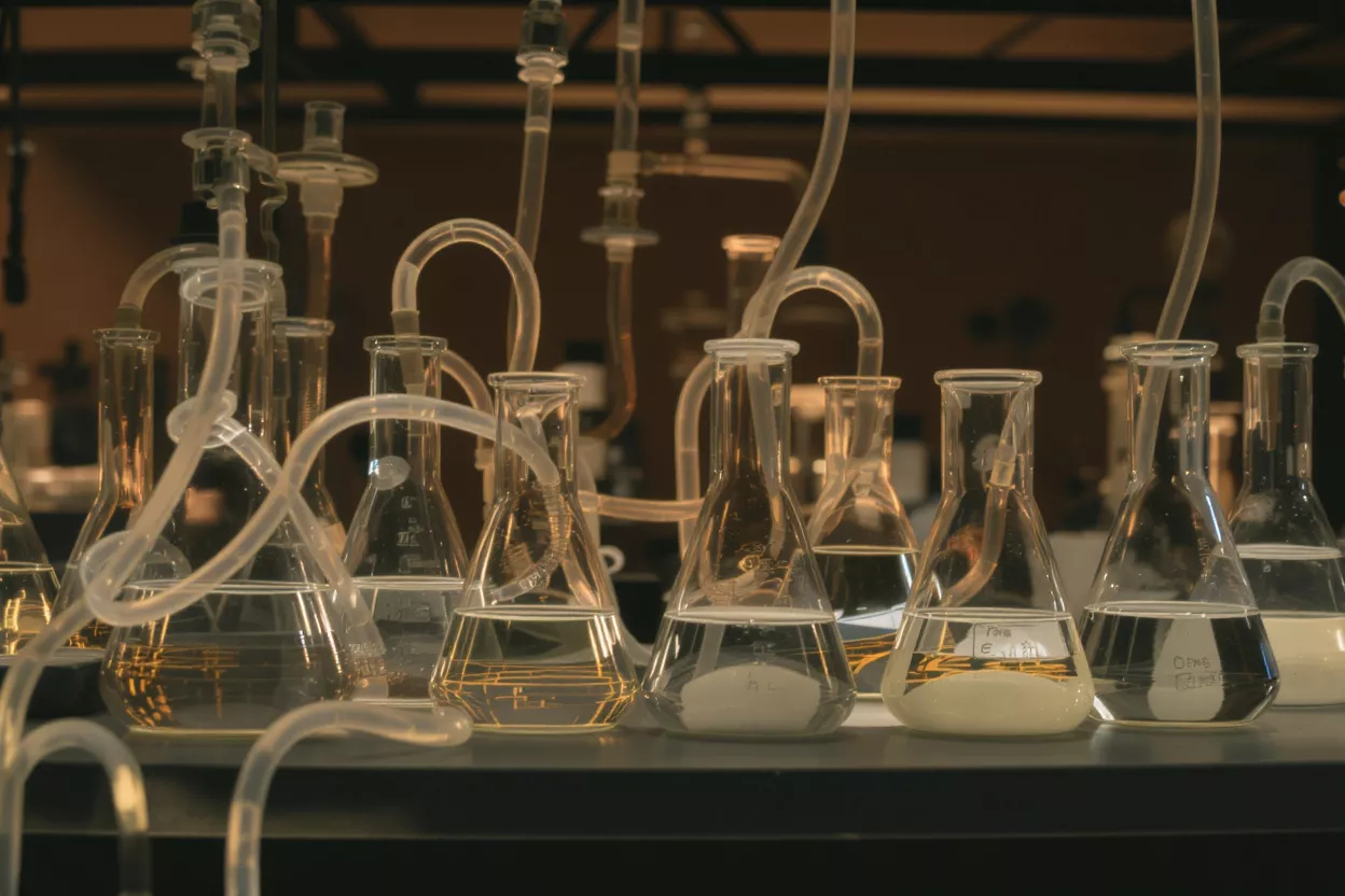 A row of glass laboratory flasks connected by clear tubing, filled with liquids.