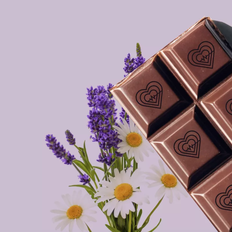 SLEEP Functional Mushroom Lavender Chamomile Dark Chocolate 30g / 6pcs – Wisely