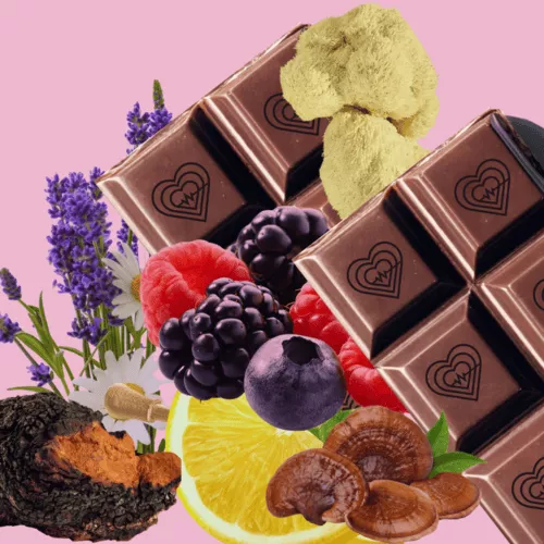 Functional Mushroom Dark Chocolate Bars Multi-Pack 7 Bars – Wisely