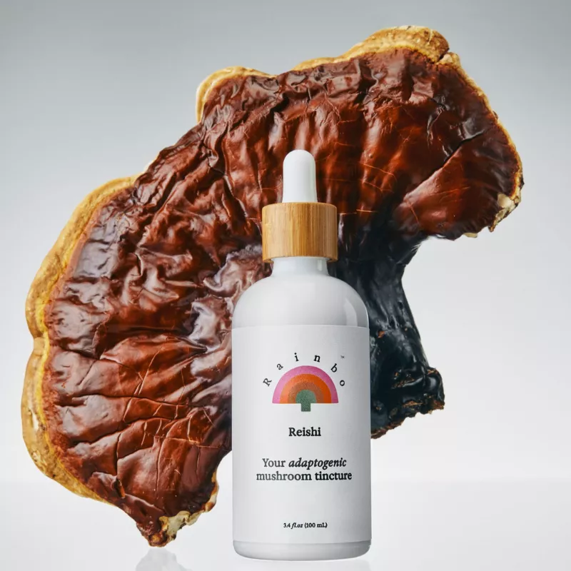 Functional Mushroom Benefits