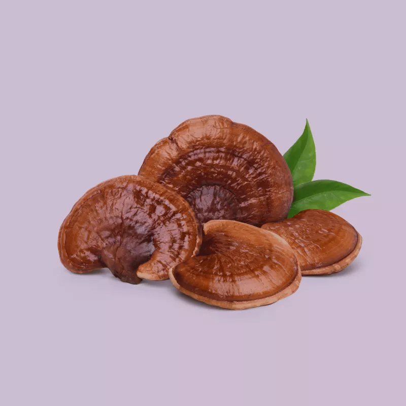 functional mushroom 