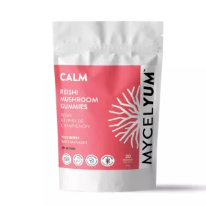 Reishi mushroom gummies package in pink, wild berry flavor, vegan, gluten-free, sugar-free.