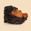Chaga mushroom on beige background, showcasing its black crust and orange-brown interior.