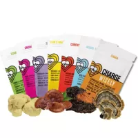 Functional mushroom chocolate bars by Wisely dark chocolate collection