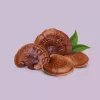 Reishi mushrooms with green leaves on a lavender background, emphasizing natural beauty and wellness.