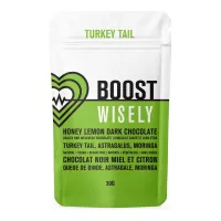 Wisely BOOST functional mushroom chocolate bar with honey lemon flavor
