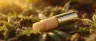 THC infused lip gloss cannabis beauty product