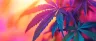 narrow-spectrum cannabis extract in a laboratory vial