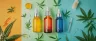 ratio cannabis THC CBD product label comparison