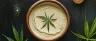 xanthan gum powder used in cannabis product formulation
