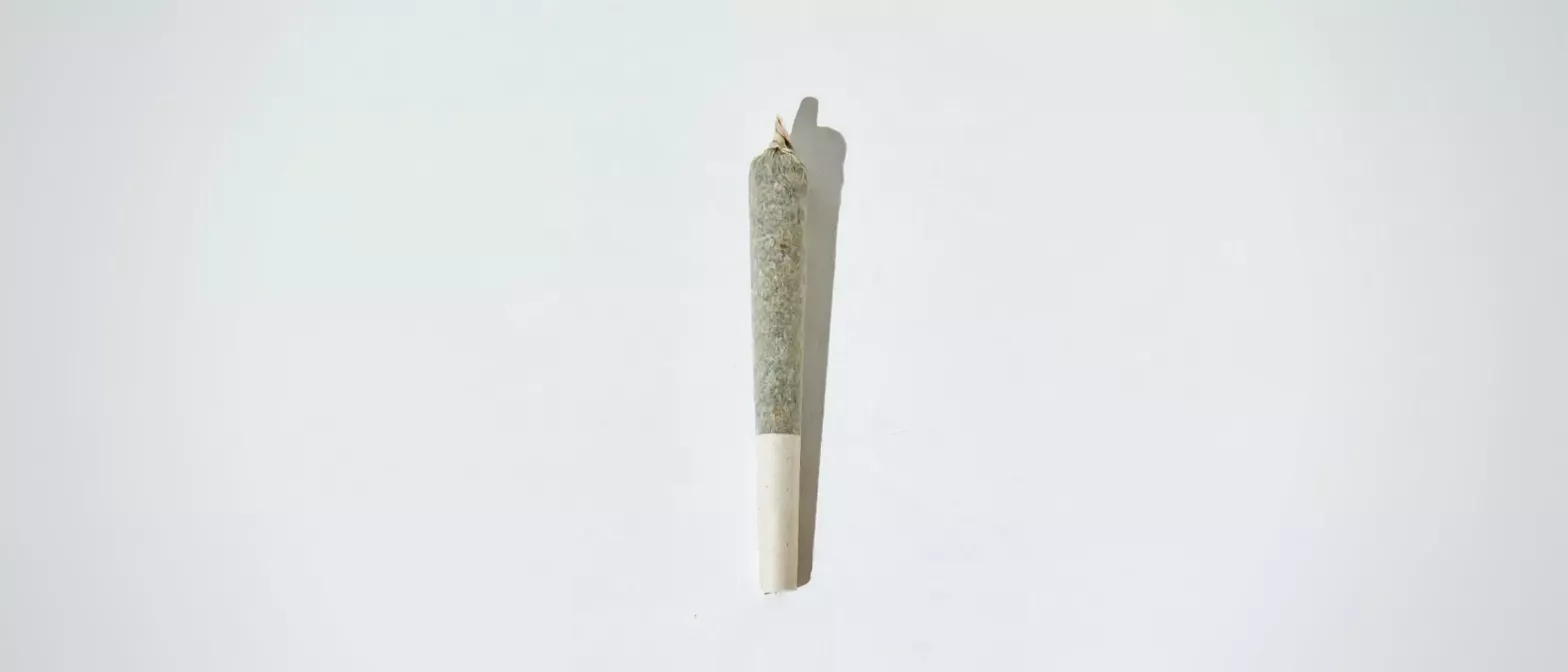 A single cannabis pre-roll with a white filter against a clean white background.