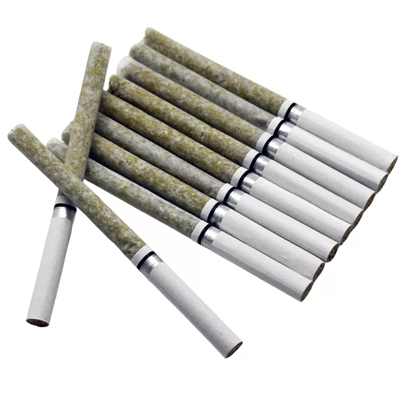 Collection of uniform cannabis joints with white filters on white background.