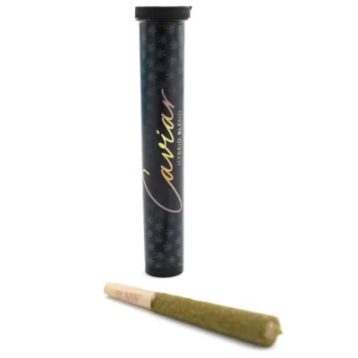 Premium Caviar Hybrid Blend cannabis in a container with RAW pre-roll on white background.