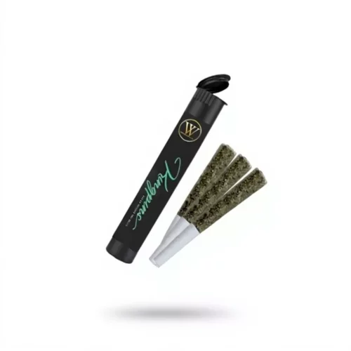 Kingpin Mango Diesel Sativa Prerolls 1.5g / 3pcs – Westcoast Smoke Co.
