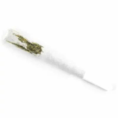 Pre-rolled marijuana joint with white filter against white background.