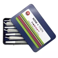 Premium indica flower prerolls by NOW+THEN in blue tin