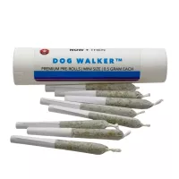 Dog Walker indica prerolls 8-pack by NOW+THEN