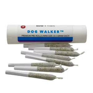 Premium mini cannabis pre-rolls by NOW + THEN, DOG WALKER brand, in cylindrical container.