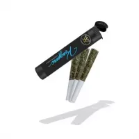 Premium indica prerolls by Westcoast Smoke Co in tube packaging