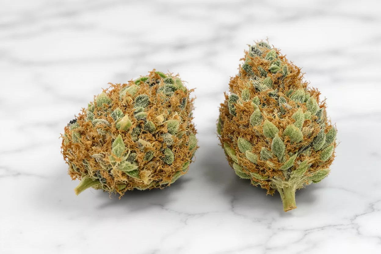 Two vibrant cannabis buds with orange hairs and green leaves on a white marble surface.