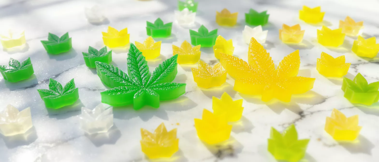 Cannabis Leaf Gummies Green and yellow cannabis leaf-shaped gummies on a white marble surface.
