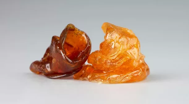 Amber resin pieces with intricate shapes against light background.