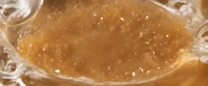 Sugar