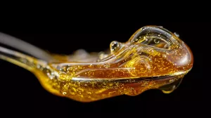 How to Dab Shatter: Complete Beginner Guide