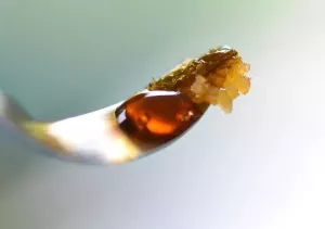 Terp sauce