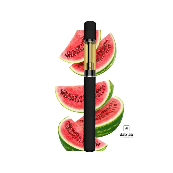 Vaporisateur THC jetable Watermelon OG 1g de Dab Lab, souche indica au doux arôme de pastèque