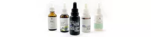 What Are the Top 10 CBD Companies in the Market Today 2025?