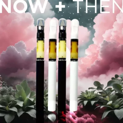 Explore the Now and Then Vape Pen Collection - Twilight Dreams and Tropical Vibes.
