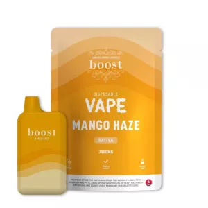 Disposable Mango Haze Sativa vape pen with 3000mg, premium quality, solvent-free, bright orange packaging.