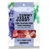 Vegan CBD wine gummies, THC-free, gluten-free, grape flavor.