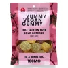 Vegan THC Gummies – Gluten-Free, Sour, 100mg Total THC.